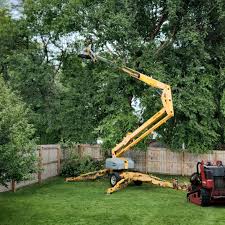 Best Tree Risk Assessment  in Bronson, MI